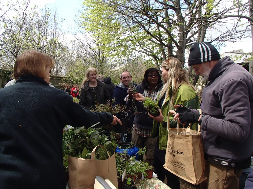 Plant & Seed Swap