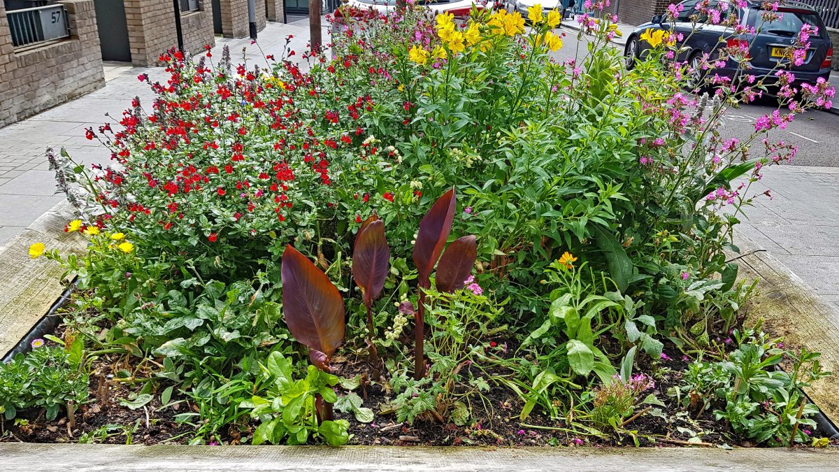 Cleveland Park Street Planter