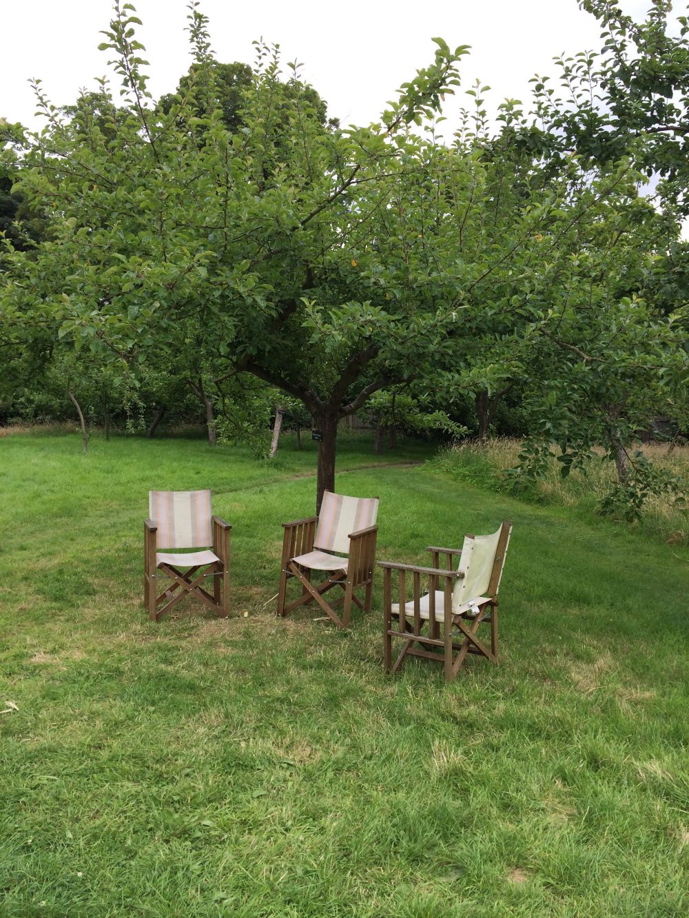 Calke Abbey Orchard