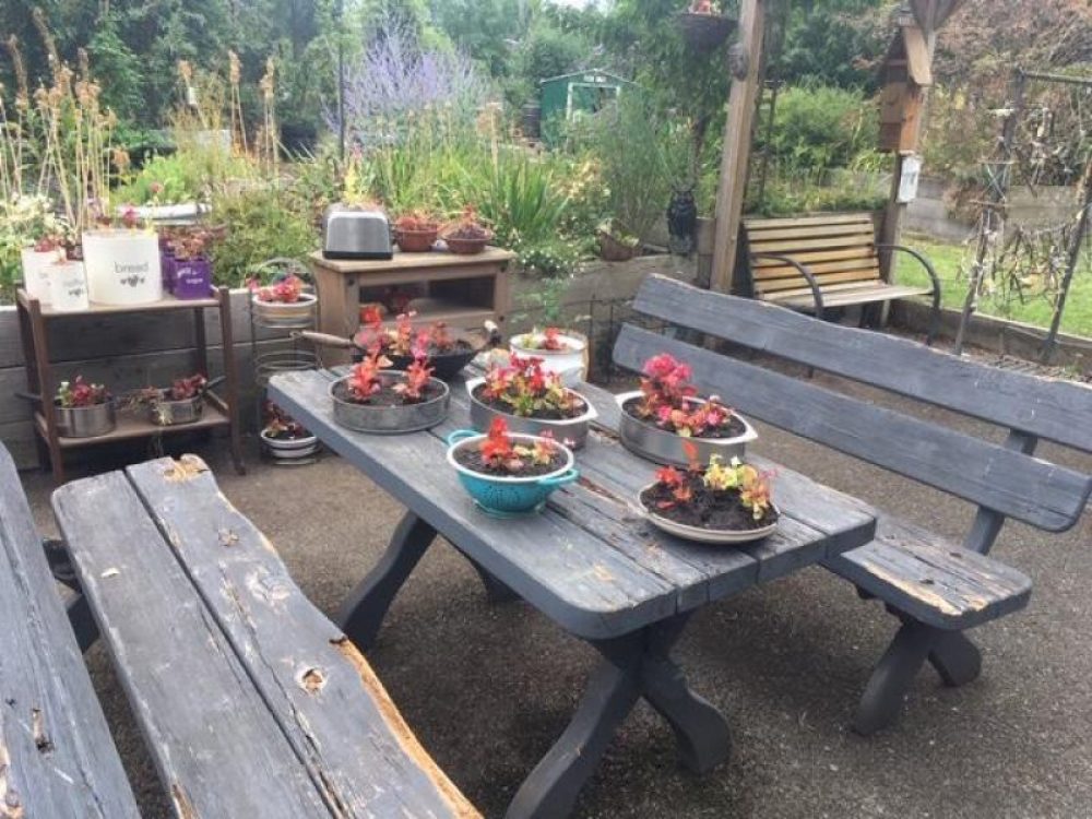 Up-cycled Outdoor Dining Room