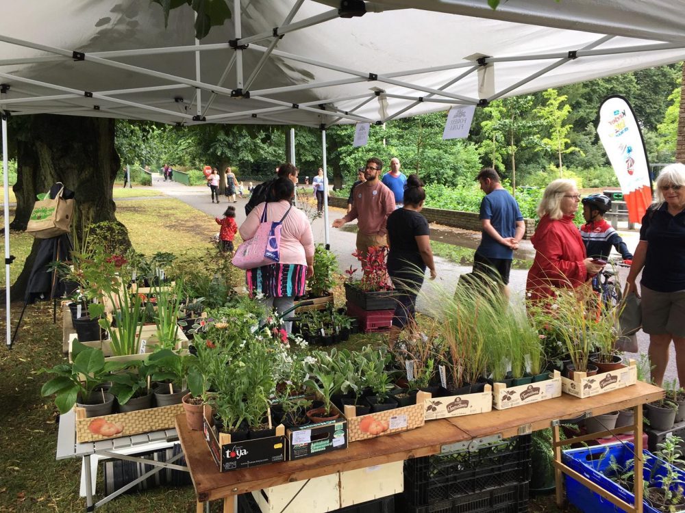 Plant sale in Waltham Forest