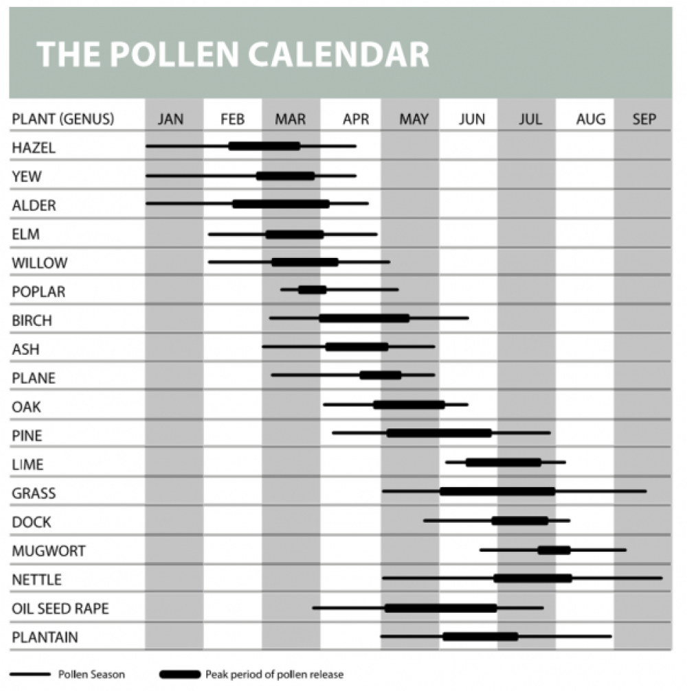 Uk pollen calendar