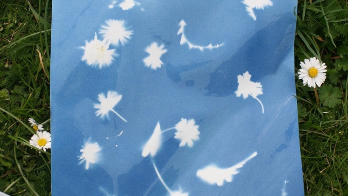 Cyanotype